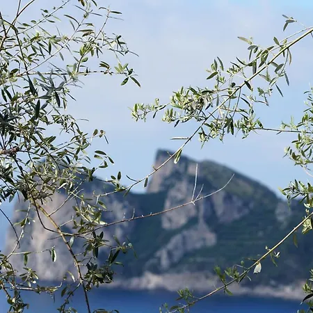 Villaggio Syrenuse Campsite Massa Lubrense